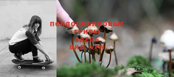 spice Володарск