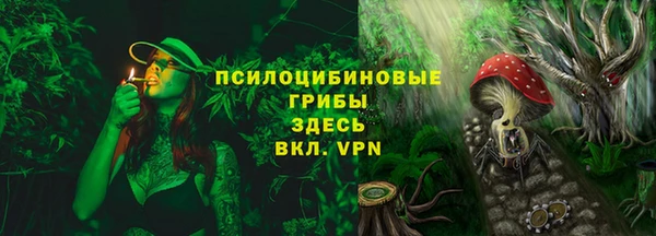 тгк Вязьма