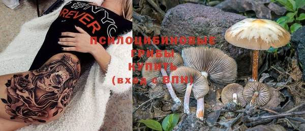 тгк Вязьма